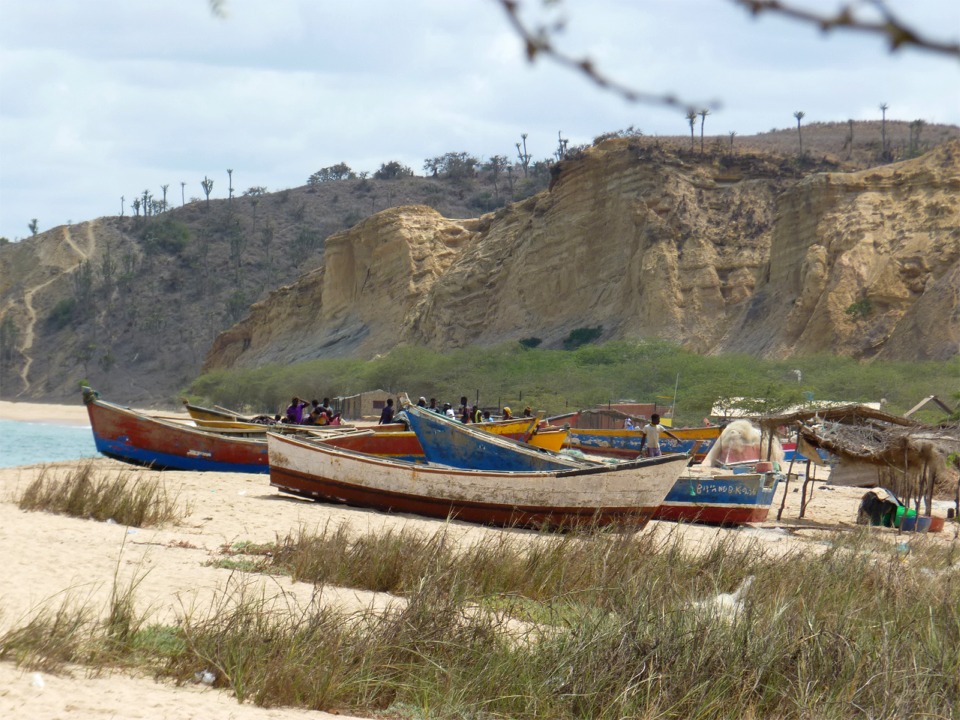 Je vous joins une carte postale des bateaux de pêche côtière de Caboledo, au sud de Luanda, en Angola, où je viens de passer quelques jours en visite familiale. L'Angola est riche grâce notamment à son pétrole offshore, et le pays se reconstruit rapidement après 10 années de guerre d'indépendance (acquise en 1975, du Portugal) puis 30 années d'une guerre civile sanglante. Les bateaux visibles ici sont des coques en bois de construction assez sommaire, de 4 à 6 m de long et propulsées à l'aviron et/ou à l'aide d'un moteur hors-bord de faible puissance. 