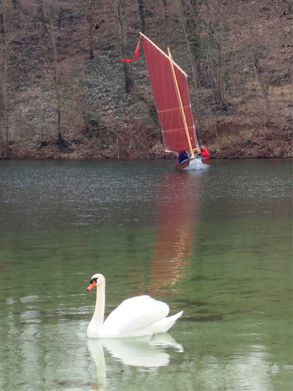 Jolie photo avec ce cygne (de piste) au premier plan. Nous sommes 4 adultes à bord de Gandalf, ballast plein, et on voit que la flottaison est bien enfoncée. 