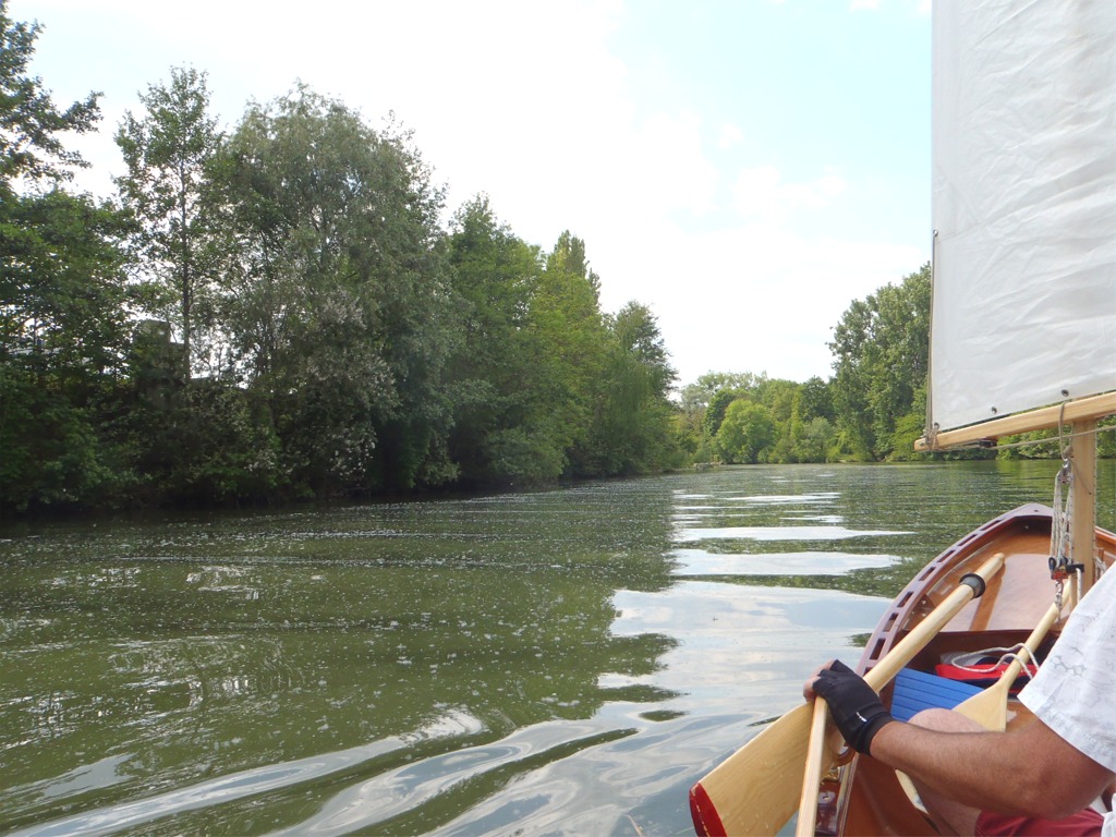 Dimanche après-midi, après une petite matinée à l'atelier, le beau temps me décide à prendre mon après-midi et sortir la Yole de Chester sur l'Oise voisine. Il n'y a presque pas un souffle de vent, et on a l'impression qu'il neige par moments : je ne sais pas quel est l'arbre qui emet ces "flocons", mais il est productif ! Du coup, cela n'augmente pas mon envie d'aller piquer une tête dans la rivière... 