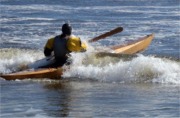 Shearwater Sport